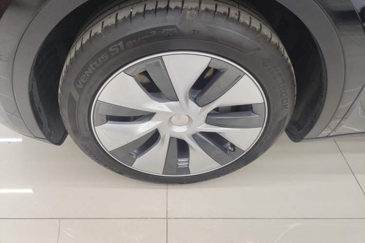 Used Tesla Model Y 2022 Rear-Wheel-Drive Version Exterior 7