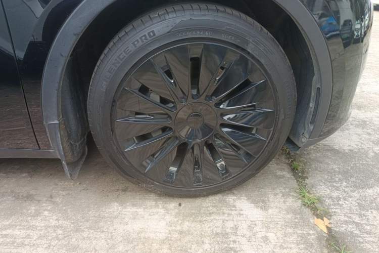 Used Tesla Model Y 2022 Rear-Wheel-Drive Version Exterior 7