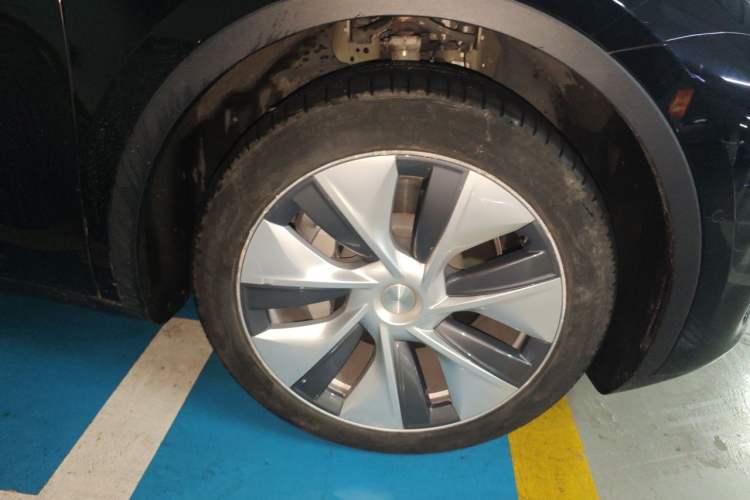 Used Tesla Model Y 2022 Rear-Wheel-Drive Version Exterior 7