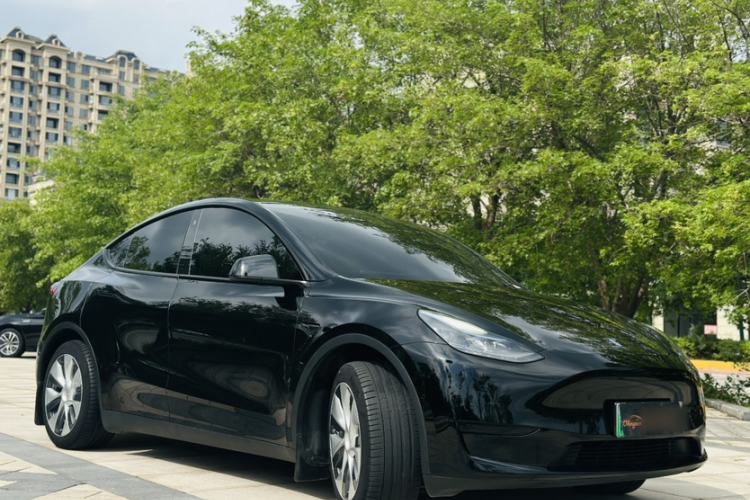 Used Tesla Model Y 2022 Rear-Wheel-Drive Version Exterior 7