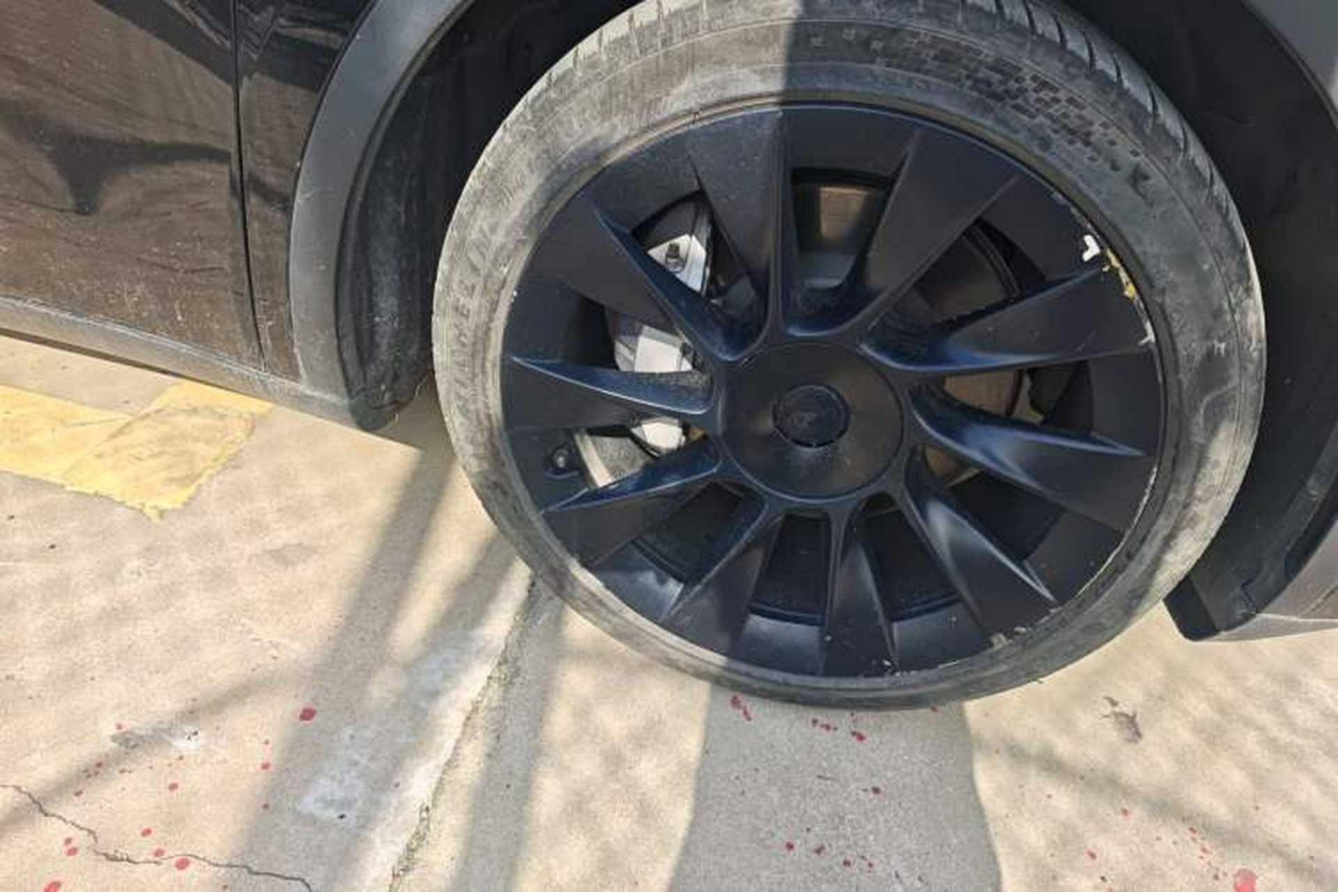Used Tesla Model Y 2022 Rear-Wheel-Drive Version Exterior 7