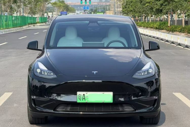 Used Tesla Model Y 2022 Revised Version Long-Range All-Wheel Drive Exterior 8