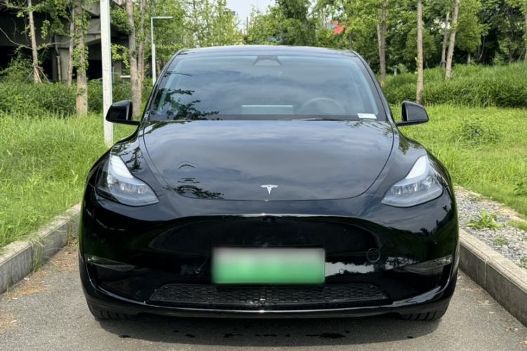 Used Tesla Model Y 2022 Revised Version Long-Range All-Wheel Drive Exterior 8
