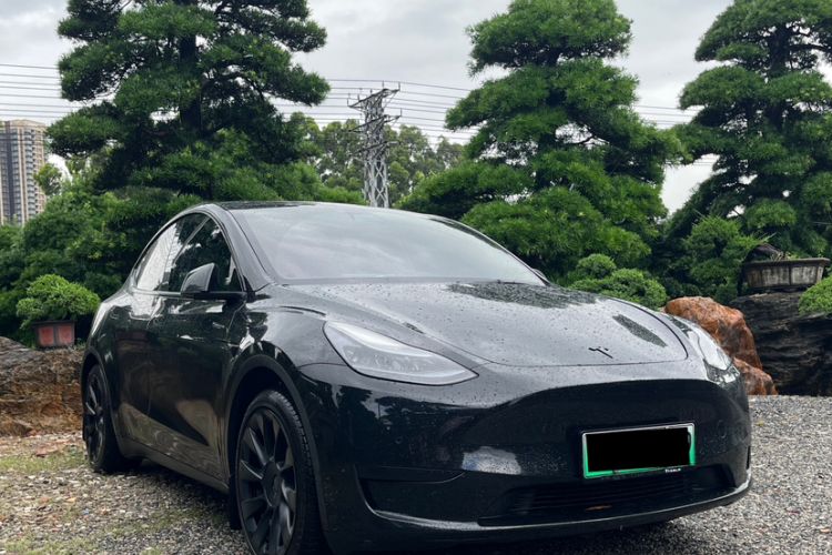 Used Tesla Model Y 2022 Revised Version Rear-Wheel Drive Exterior 8