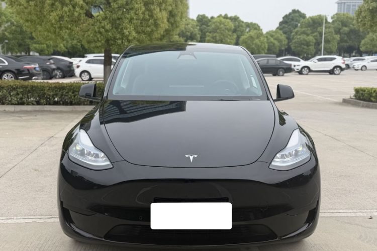Used Tesla Model Y 2022 Revised Version Rear-Wheel Drive Exterior 8