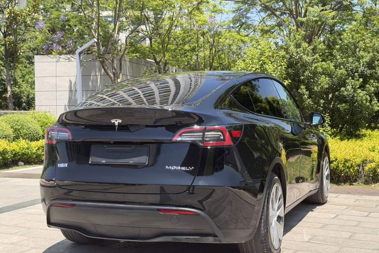 Used Tesla Model Y 2022 Rear-Wheel-Drive Version Exterior 8
