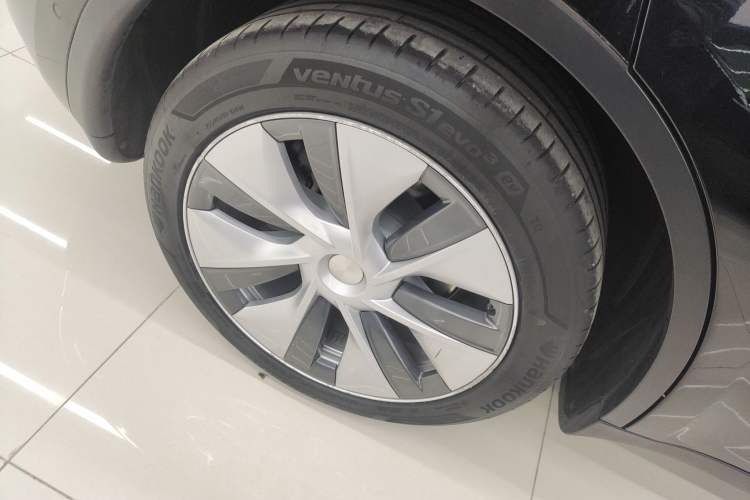 Used Tesla Model Y 2022 Rear-Wheel-Drive Version Exterior 8