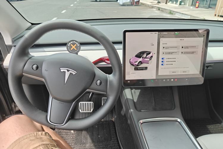 Used Tesla Model Y 2022 Rear-Wheel-Drive Version Exterior 8