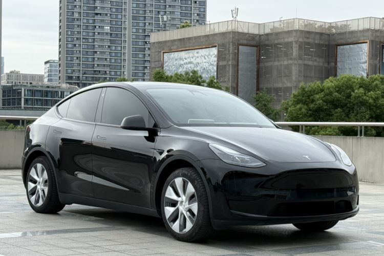 Used Tesla Model Y 2022 Revised Version Rear-Wheel Drive Exterior 8