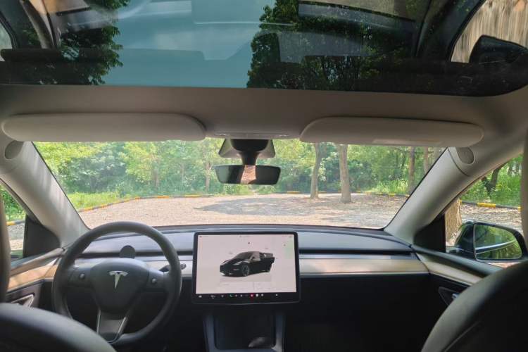 Used Tesla Model Y 2022 Long-Range All-Wheel-Drive Version Exterior 8