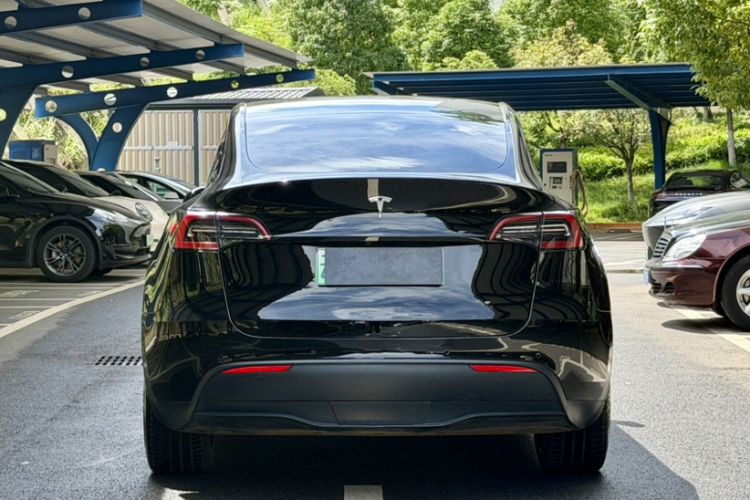 Used Tesla Model Y 2022 Revised Version Long-Range All-Wheel Drive Exterior 8
