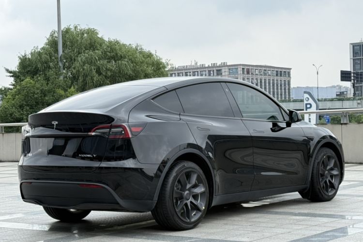 Used Tesla Model Y 2022 Revised Version Long-Range All-Wheel Drive Exterior 8