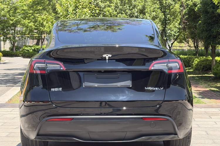 Used Tesla Model Y 2022 Rear-Wheel-Drive Version Exterior 9