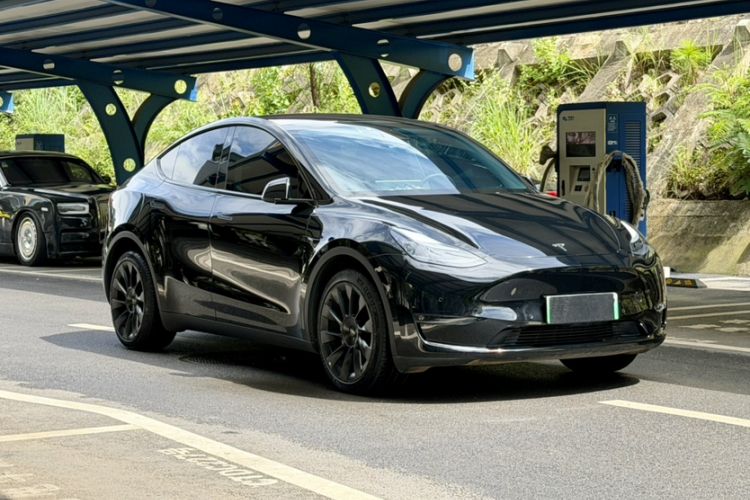 Used Tesla Model Y 2022 Revised Version Long-Range All-Wheel Drive Exterior 9