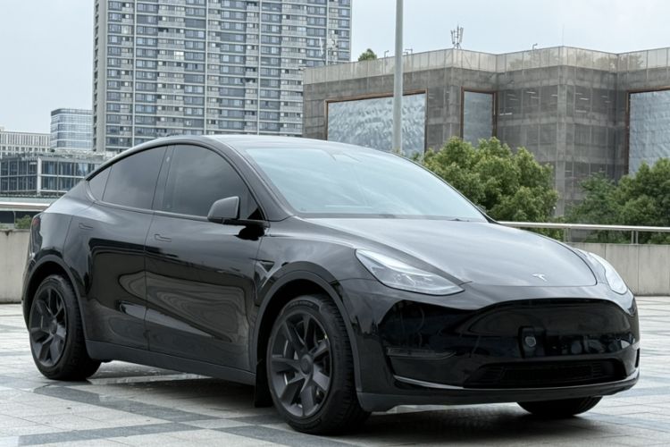 Used Tesla Model Y 2022 Revised Version Long-Range All-Wheel Drive Exterior 9
