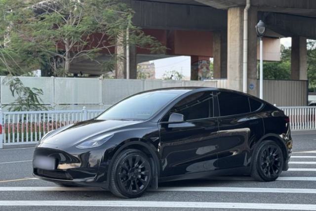 Used Tesla Model Y 2022 Rear-Wheel-Drive Version