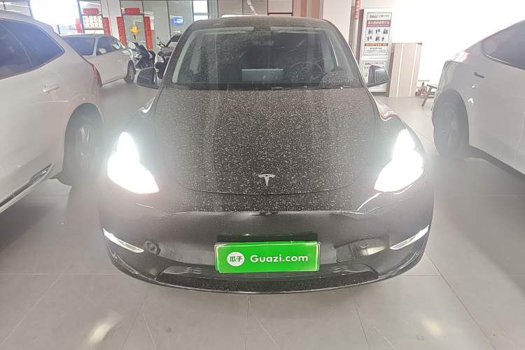 Used Tesla Model Y 2022 Performance High-Performance All-Wheel-Drive Version Front