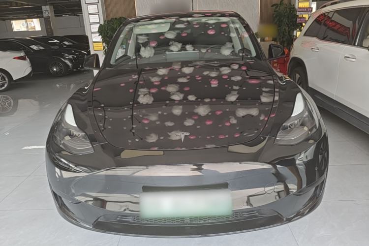 Used Tesla Model Y 2022 Rear-Wheel-Drive Version Front