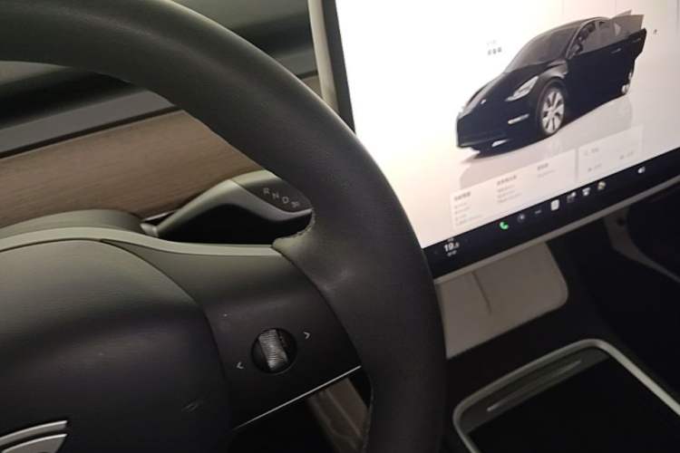 Used Tesla Model Y 2022 Revised Version Rear-Wheel Drive Gear Lever