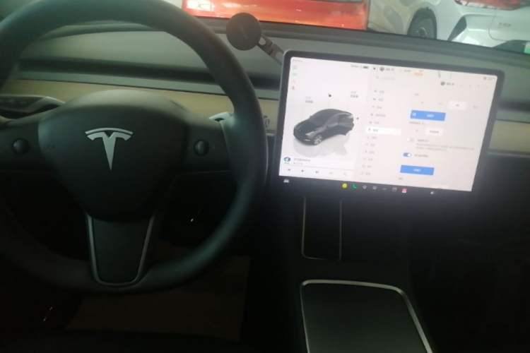 Used Tesla Model Y 2022 Revised Version Rear-Wheel Drive Gear Lever