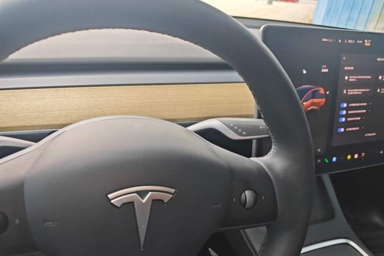 Used Tesla Model Y 2022 Revised Version Rear-Wheel Drive Gear Lever