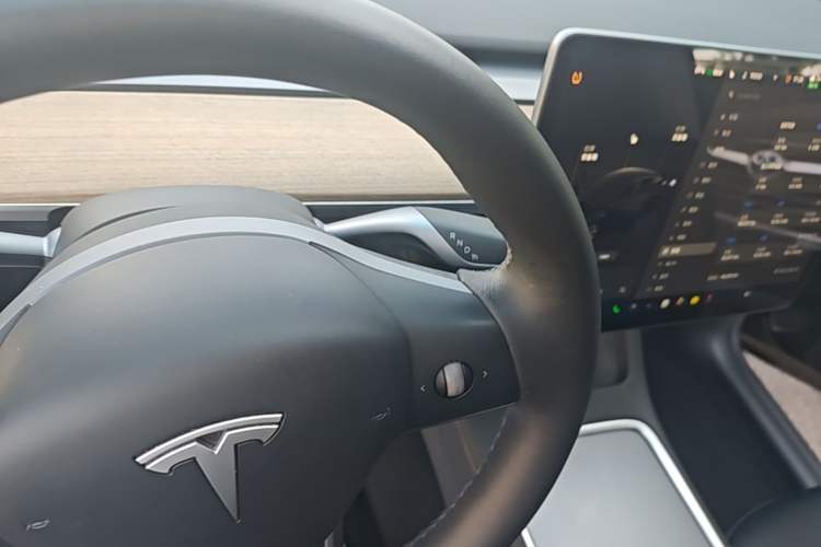 Used Tesla Model Y 2022 Revised Version Rear-Wheel Drive Gear Lever