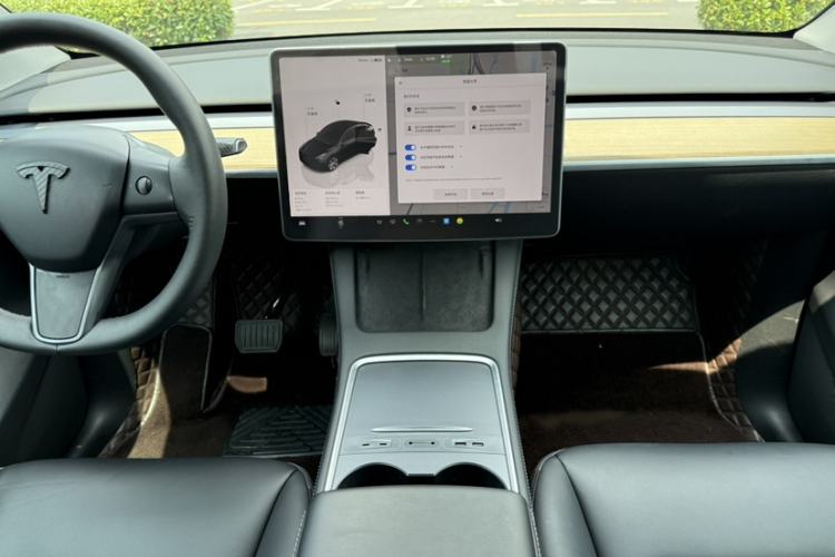 Used Tesla Model Y 2022 Revised Version Rear-Wheel Drive Gear Lever