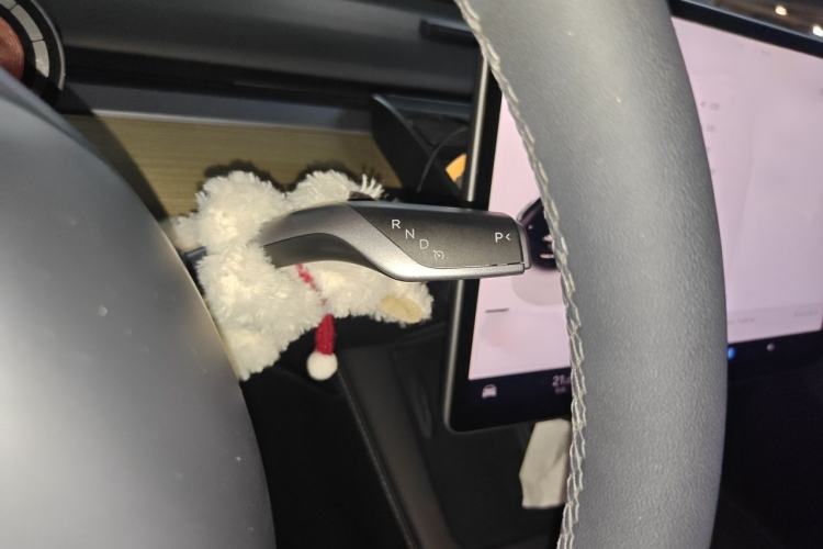 Used Tesla Model Y 2022 Revised Version Rear-Wheel Drive Gear Lever
