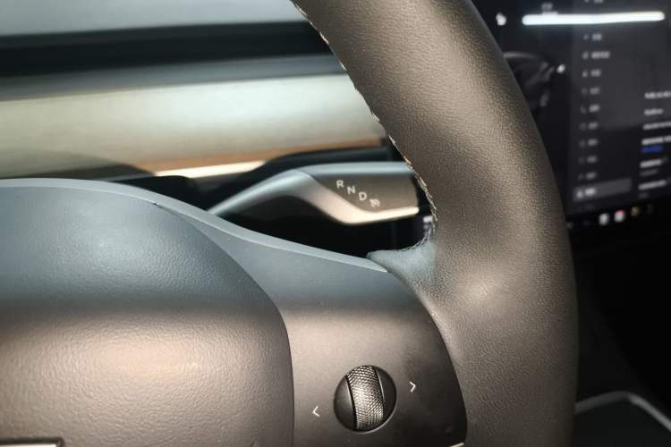 Used Tesla Model Y 2022 Revised Version Rear-Wheel Drive Gear Lever
