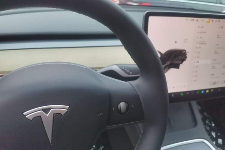 Used Tesla Model Y 2022 Revised Version Rear-Wheel Drive Gear Lever