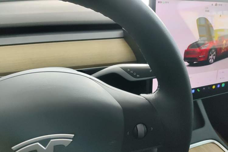 Used Tesla Model Y 2022 Revised Version Rear-Wheel Drive Gear Lever