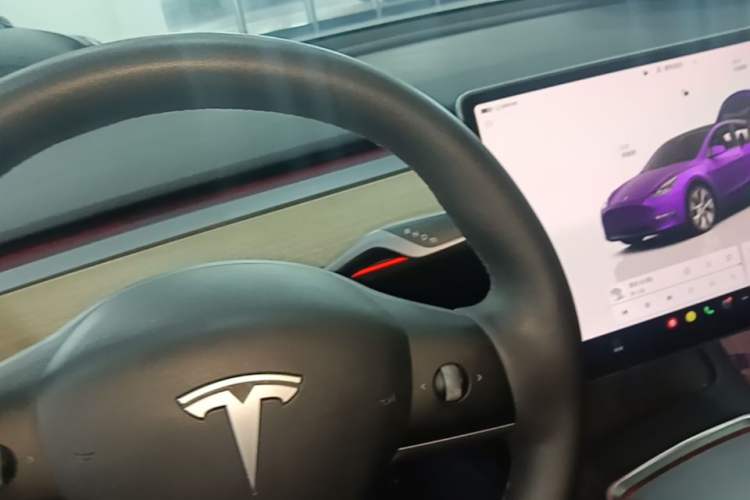 Used Tesla Model Y 2022 Revised Version Rear-Wheel Drive Gear Lever
