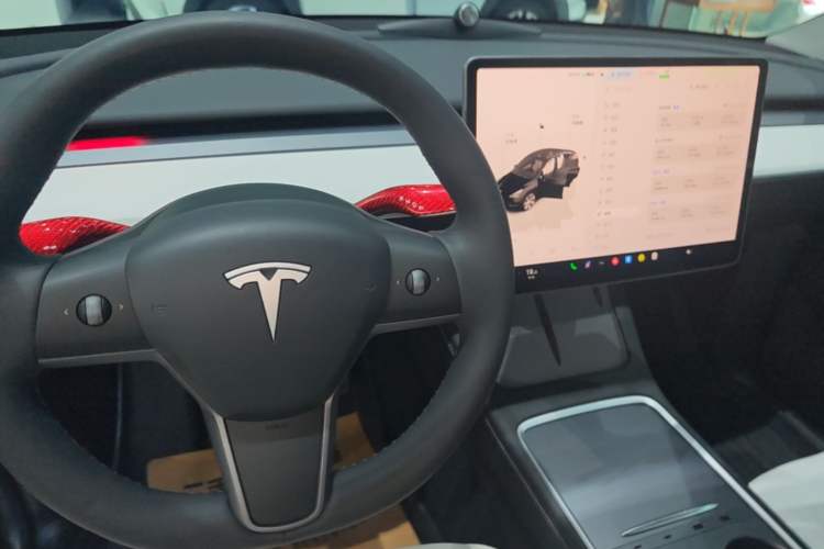 Used Tesla Model Y 2022 Revised Version Rear-Wheel Drive Gear Lever