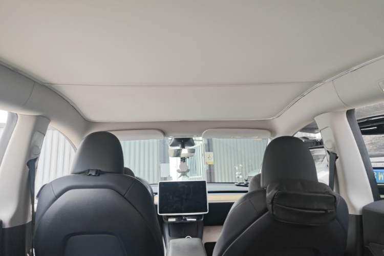 Used Tesla Model Y 2022 Long-Range All-Wheel-Drive Version Headliner