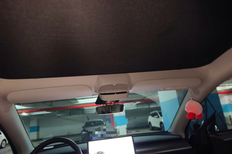 Used Tesla Model Y 2022 Rear-Wheel-Drive Version Headliner