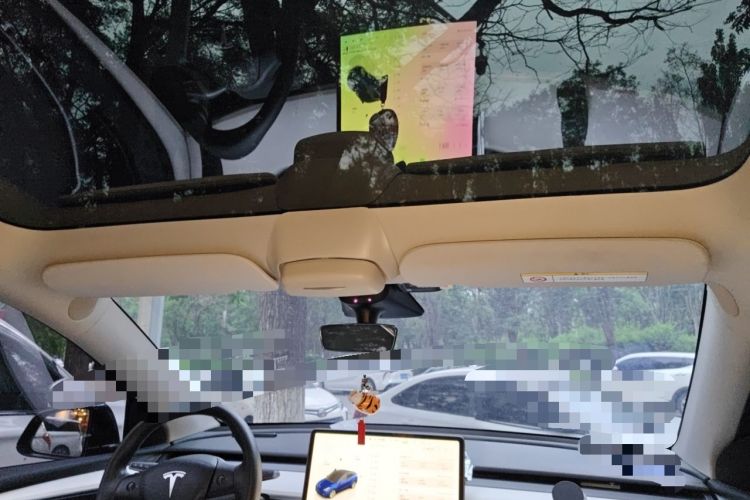 Used Tesla Model Y 2022 Revised Version Rear-Wheel Drive Headliner