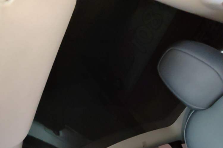 Used Tesla Model Y 2022 Revised Version Rear-Wheel Drive Headliner