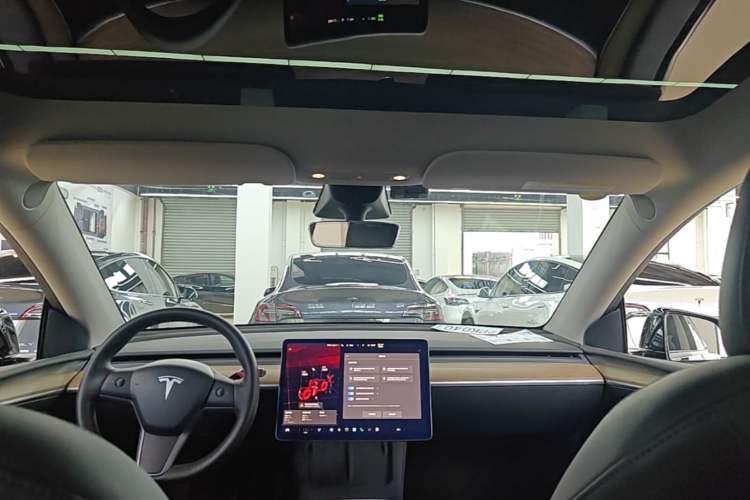 Used Tesla Model Y 2022 Long-Range All-Wheel-Drive Version Headliner
