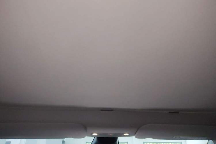 Used Tesla Model Y 2022 Performance High-Performance All-Wheel-Drive Version Headliner