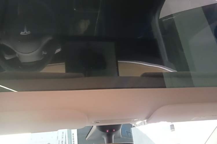 Used Tesla Model Y 2022 Revised Version Rear-Wheel Drive Headliner