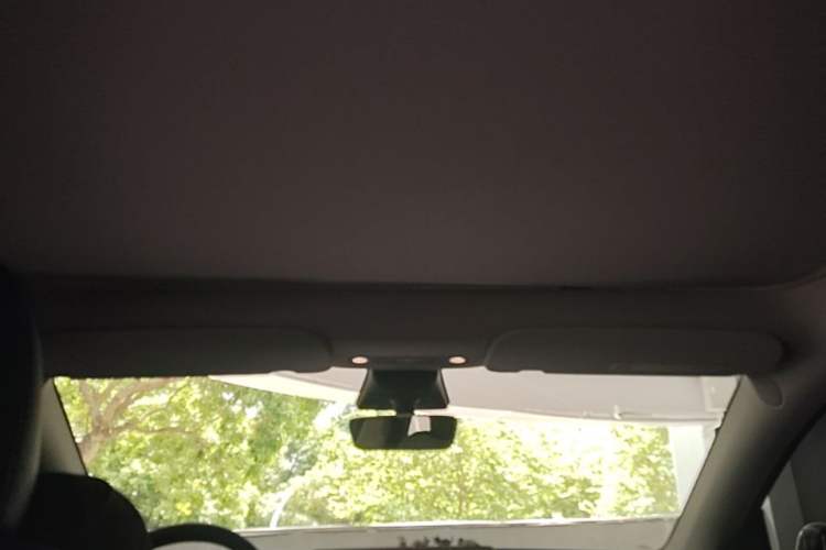 Used Tesla Model Y 2022 Revised Version Rear-Wheel Drive Headliner