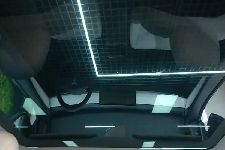 Used Tesla Model Y 2022 Long-Range All-Wheel-Drive Version Headliner