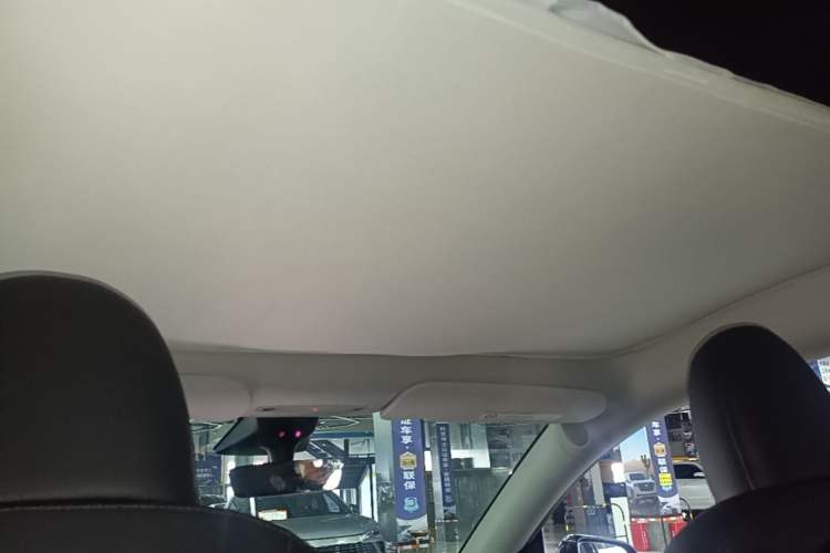 Used Tesla Model Y 2022 Rear-Wheel-Drive Version Headliner