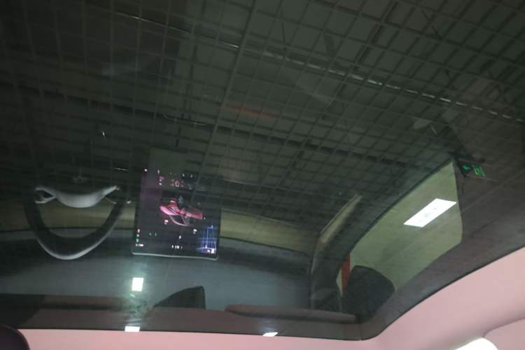 Used Tesla Model Y 2022 Revised Version Rear-Wheel Drive Headliner