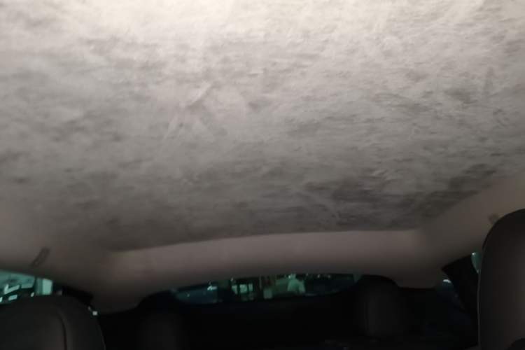 Used Tesla Model Y 2022 Revised Version Rear-Wheel Drive Headliner