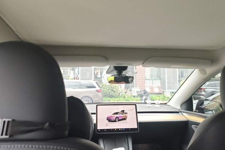 Used Tesla Model Y 2022 Rear-Wheel-Drive Version Headliner