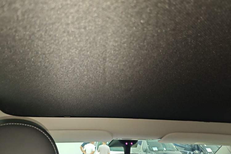Used Tesla Model Y 2022 Rear-Wheel-Drive Version Headliner