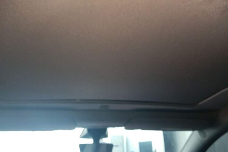 Used Tesla Model Y 2022 Rear-Wheel-Drive Version Headliner