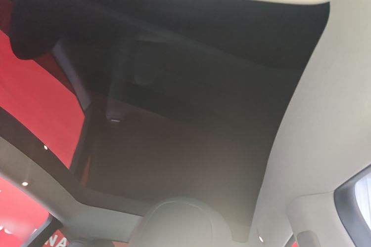Used Tesla Model Y 2022 Long-Range All-Wheel-Drive Version Headliner