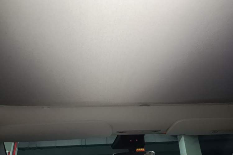 Used Tesla Model Y 2022 Revised Version Rear-Wheel Drive Headliner